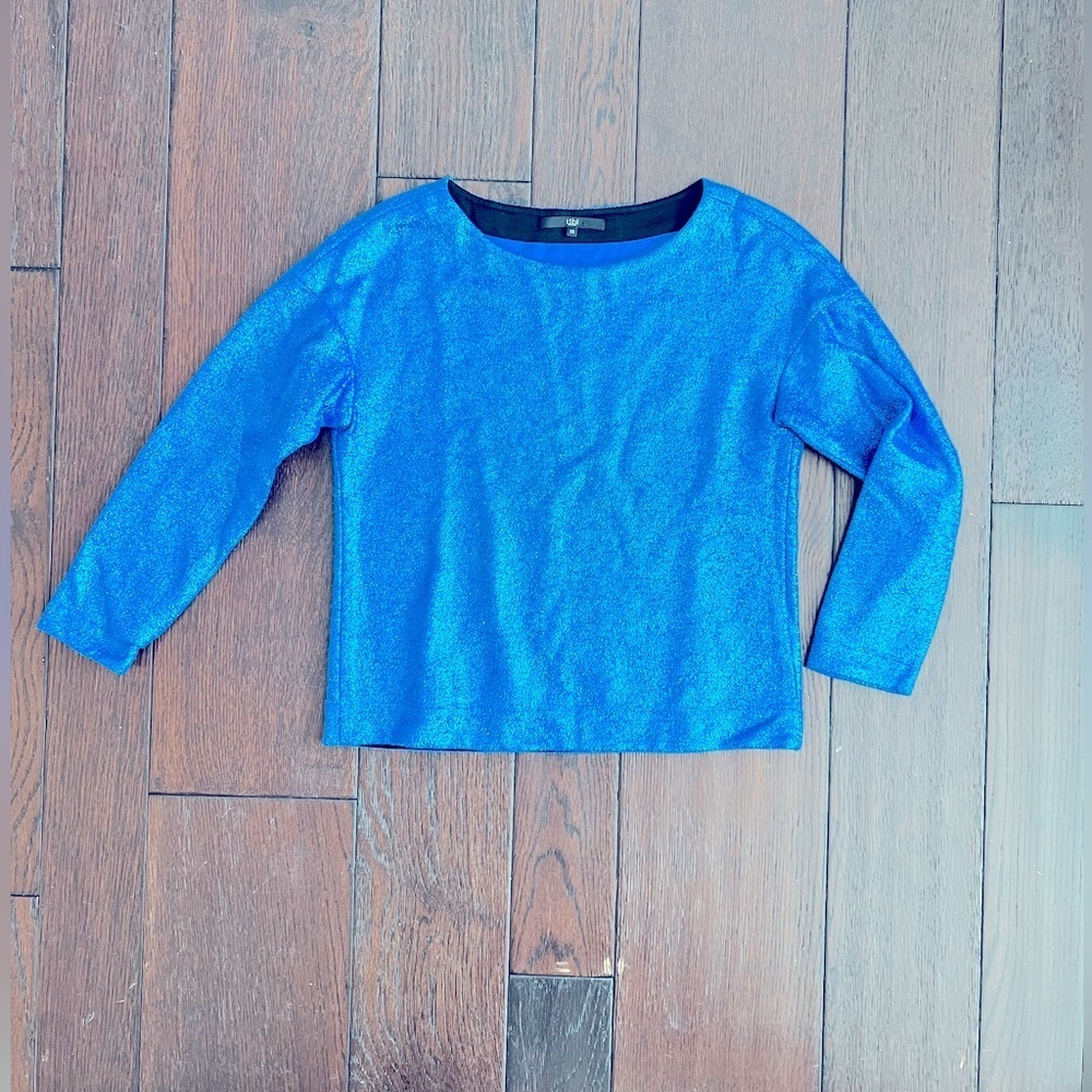 Tibi blue metallic top